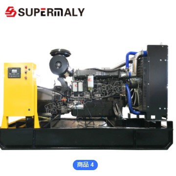 潍坊柴油发电机组 20kw 小型柴油发电机 无刷永磁发电机