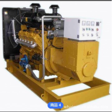 250kw燃气发电机组 天然气沼气发电机 环保燃气发电机潍坊厂家