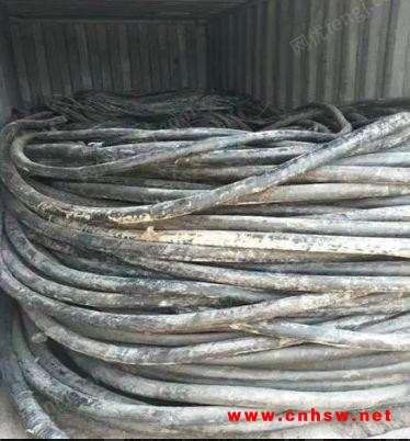 广州现金回收废旧电缆