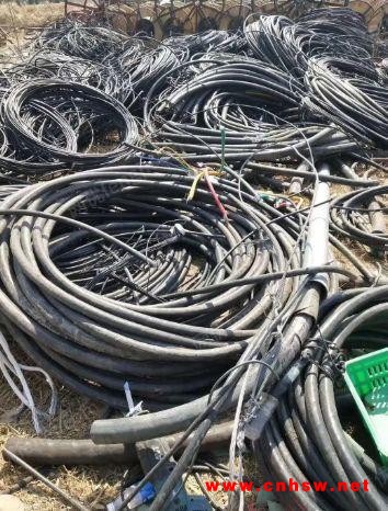 山东长期回收废旧电线电缆
