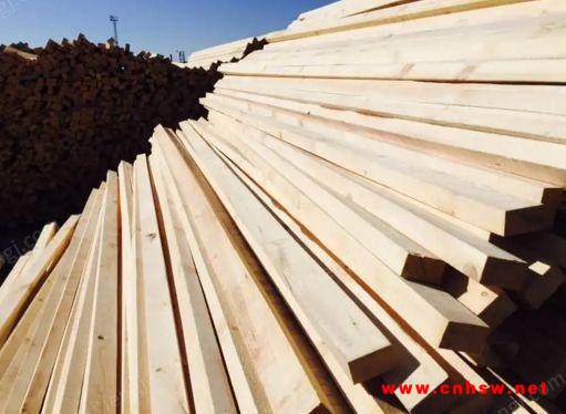 浙江地区长期回收工地木方，模板