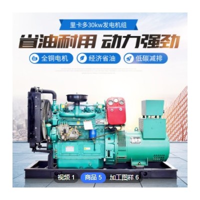 潍坊厂家定制柴油发电机组 30KW发电机组小型发电机组定制款