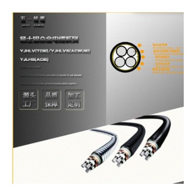 稀土铝合金 国网电力电缆 光伏电线 95/120/150/185平方 2/3/4芯